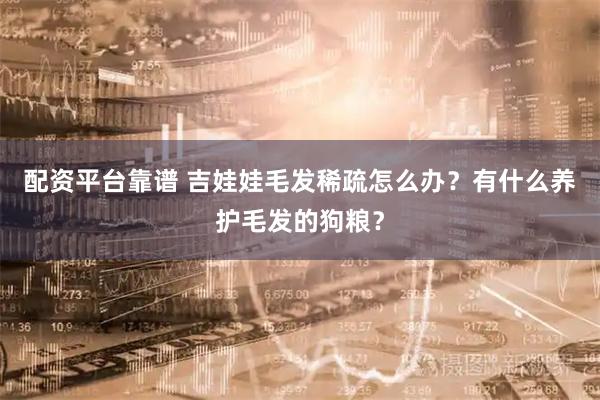 配资平台靠谱 吉娃娃毛发稀疏怎么办？有什么养护毛发的狗粮？