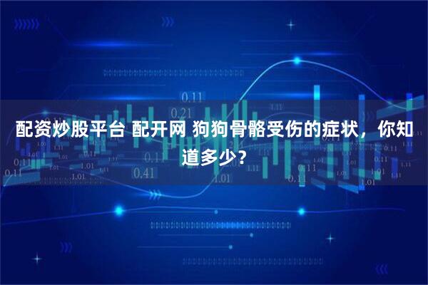 配资炒股平台 配开网 狗狗骨骼受伤的症状，你知道多少？